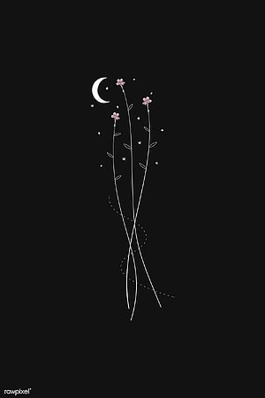 Minimalist line art of delicate pink flowers and a crescent moon on a black background HD phone wallpaper