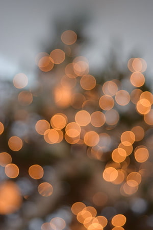 Warm Golden Bokeh Lights Against Soft Muted Background HD phone wallpaper