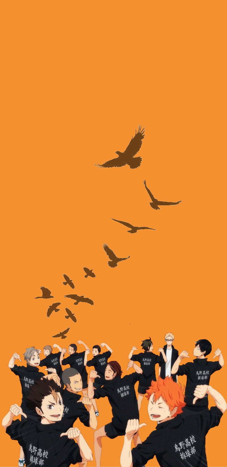 Haikyuu Karasuno High School Volleyball Team Members in Black Uniforms with Flying Birds HD phone wallpaper