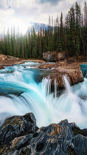 Turquoise Mountain River Flowing Through Rocky Rapids and Pine Forest HD phone wallpaper
