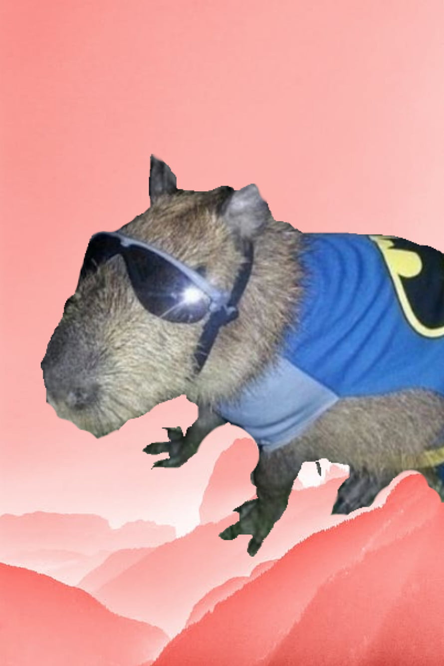 Capybara in Sunglasses and Blue Jersey Against Pink Sky HD phone wallpaper