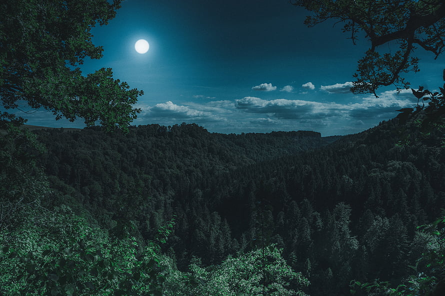 Full Moon Over a Dense Forested Mountain Valley at Night HD wallpaper