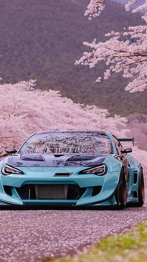 Turquoise JDM Supra parked on a road lined with blooming cherry blossom trees HD phone wallpaper