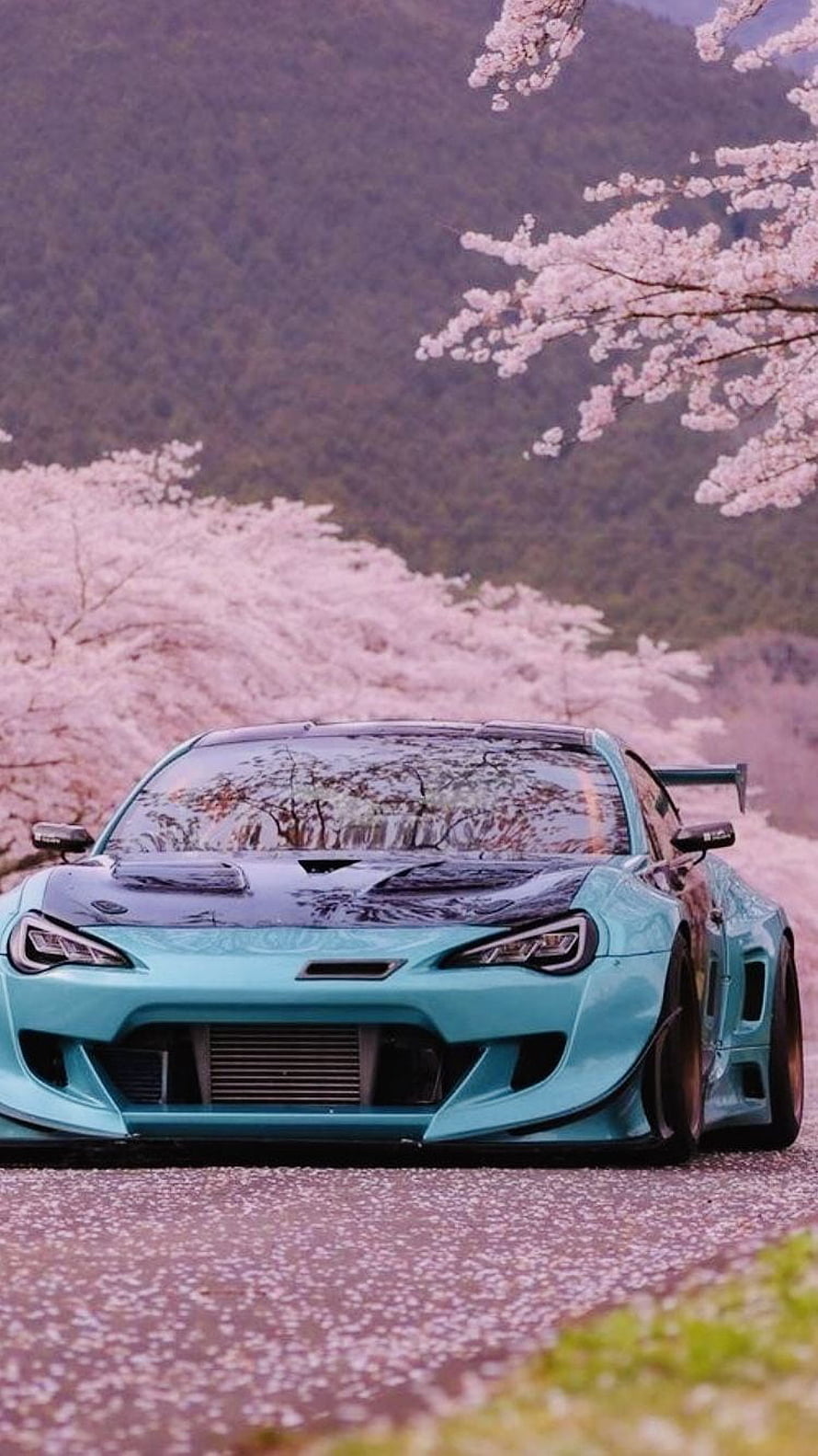 Turquoise JDM Supra parked on a road lined with blooming cherry blossom trees HD phone wallpaper