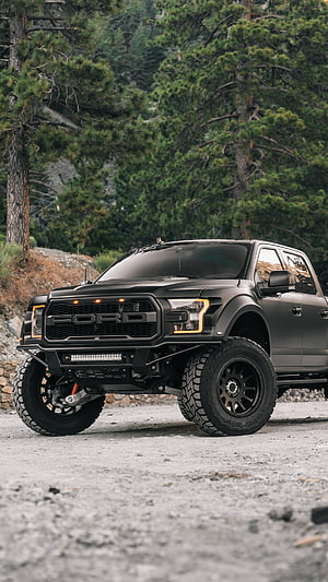 Black Ford Raptor Off-Road Truck in Forest Setting HD phone wallpaper