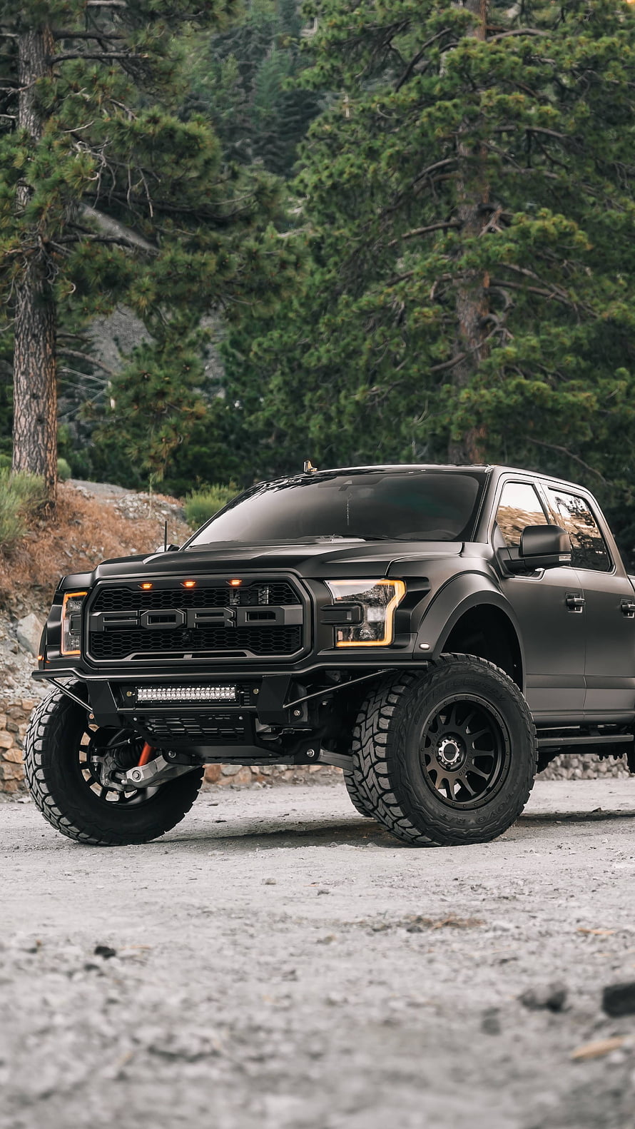 Black Ford Raptor Off-Road Truck in Forest Setting HD phone wallpaper
