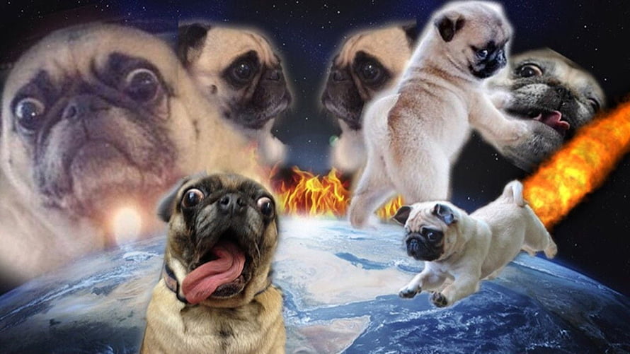 Funny Pug Dogs Floating in Outer Space Above Earth with Fire and Stars HD wallpaper