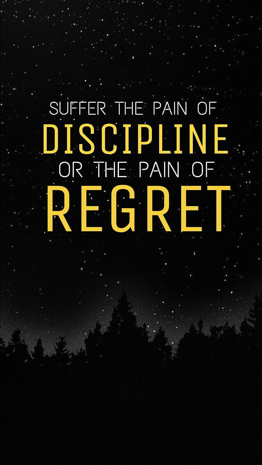 Motivational Quote on Discipline and Regret Against a Starry Night Sky HD phone wallpaper