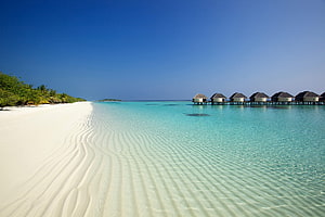 Tropical Island Beach With Overwater Bungalows And Turquoise Lagoon HD wallpaper