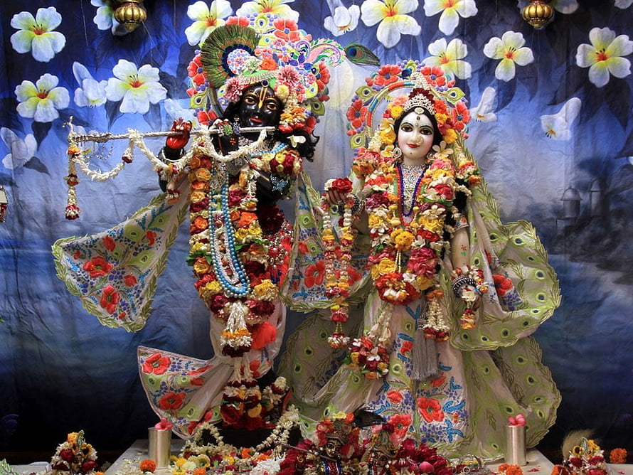 Radha Krishna Temple Murti Adorned With Fresh Flower Garlands And Peacock Feather Headdress HD wallpaper