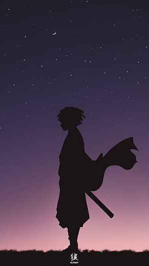 Zenitsu Agatsuma Silhouette Under Starry Twilight Sky Demon Slayer Anime Art HD phone wallpaper