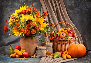 Rustic Harvest Still Life Featuring Sunflowers, Pumpkins, and Wicker Basket of Apples HD wallpaper