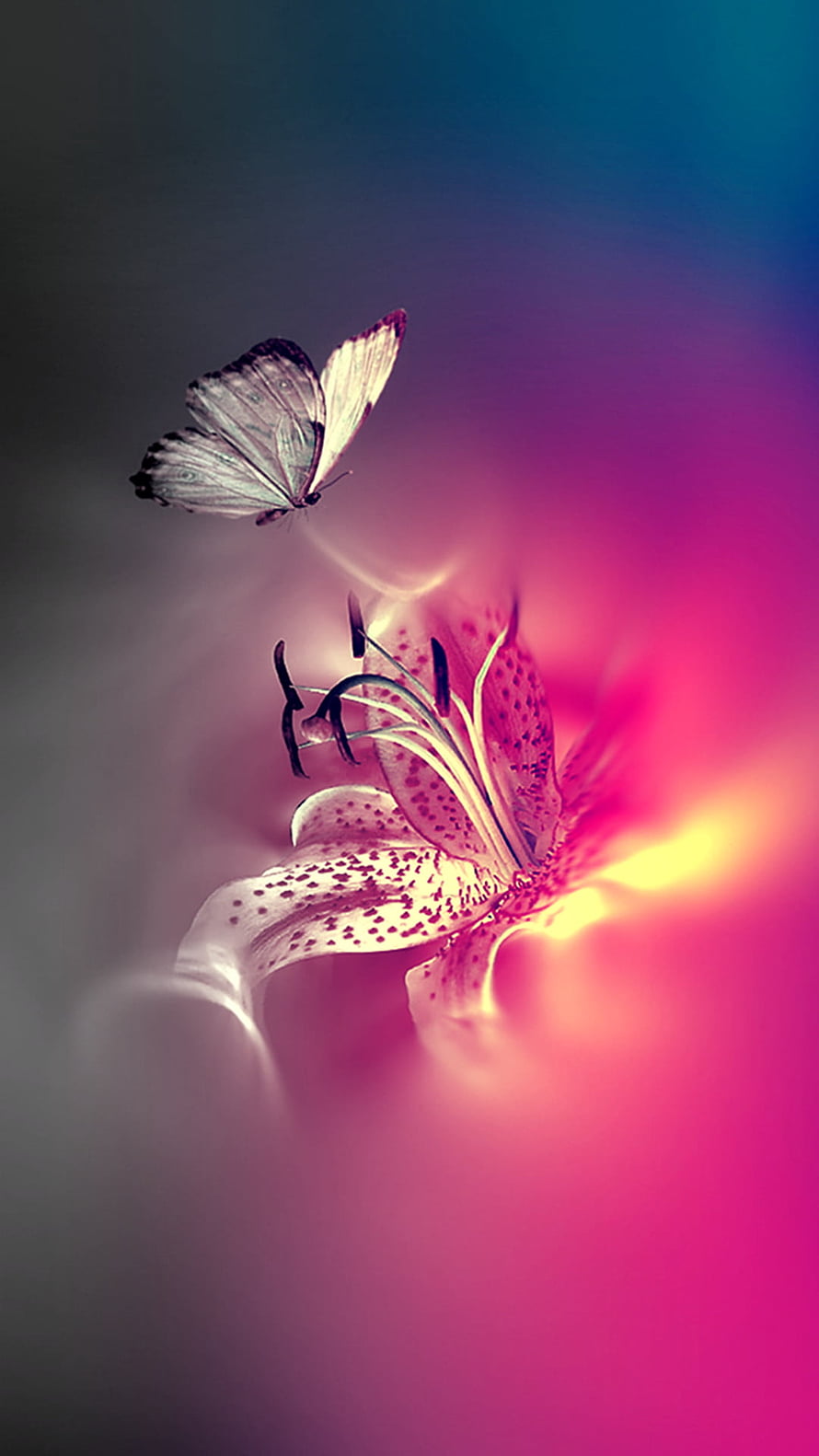 Butterfly Hovering Above Spotted Lily Flower in Vibrant Pink and Blue Gradient HD phone wallpaper