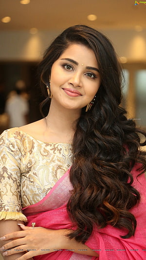 Anupama Parameswaran in a Pink Saree with Gold Blouse and Long Wavy Hair HD phone wallpaper