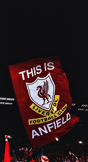 Liverpool FC Anfield Flag at Night with Crowd and Stadium Lights HD phone wallpaper