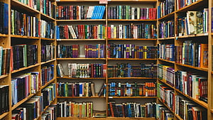 Cozy Home Library with Colorful Bookshelves and Wooden Shelves HD wallpaper