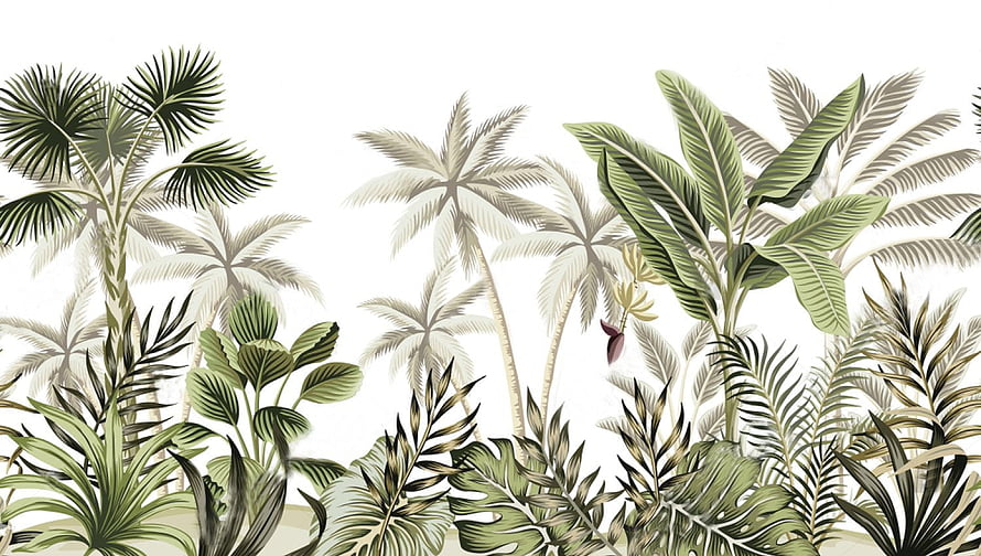 Tropical Jungle Botanical Illustration With Palm Trees And Banana Leaves HD wallpaper