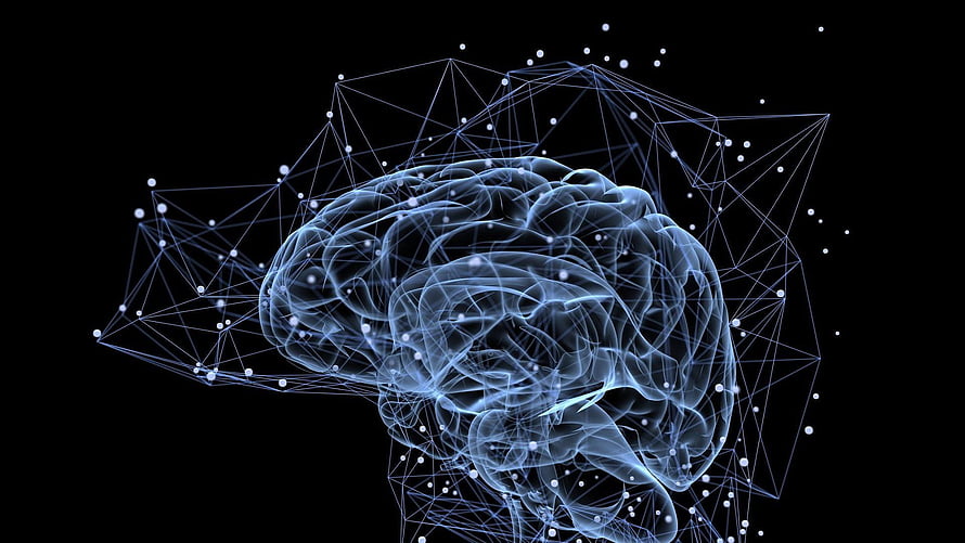 Glowing Blue Human Brain with Digital Neural Network Connections on Black Background HD wallpaper