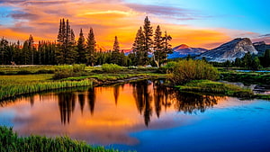 Serene Mountain Lake at Sunset with Pine Tree Reflections and Golden Sky HD wallpaper