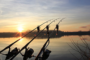 Three Carp Fishing Rods Silhouetted Against a Golden Lake Sunset HD wallpaper