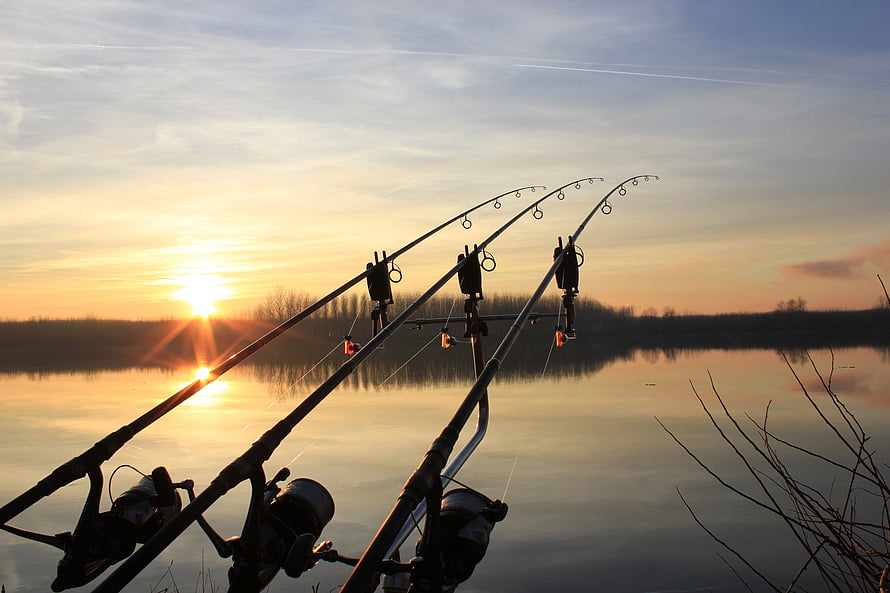 Three Carp Fishing Rods Silhouetted Against a Golden Lake Sunset HD wallpaper
