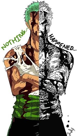 Roronoa Zoro Split Portrait with Bandaged Arm and Green Hair HD phone wallpaper