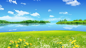 Vibrant Summer Meadow with Wildflowers and Calm Lake Under Blue Sky HD wallpaper