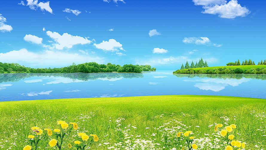 Vibrant Summer Meadow with Wildflowers and Calm Lake Under Blue Sky HD wallpaper