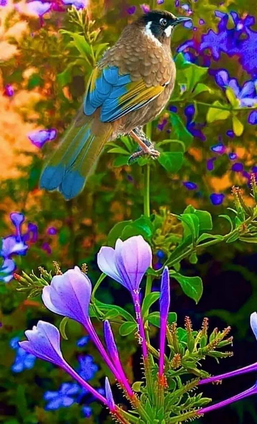 Colorful Bird Perched on Purple Flowers in Vibrant Garden Setting HD phone wallpaper