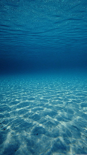 Underwater View of Sunlit Ocean Floor with Rippling Water Surface and Sandy Seabed HD phone wallpaper