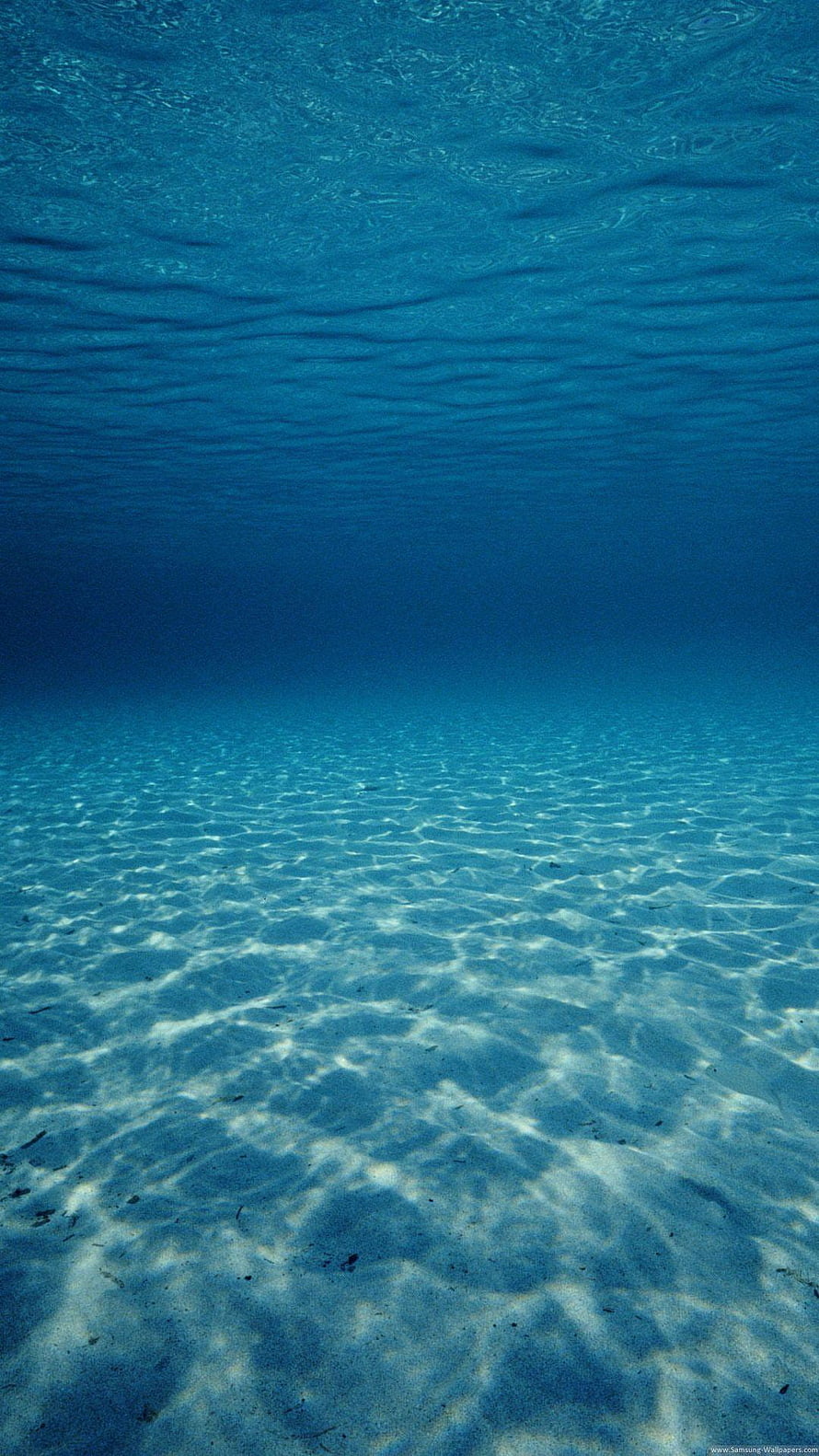 Underwater View of Sunlit Ocean Floor with Rippling Water Surface and Sandy Seabed HD phone wallpaper