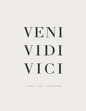 Minimalist Veni Vidi Vici Typography Poster with Latin Phrase and English Translation HD phone wallpaper