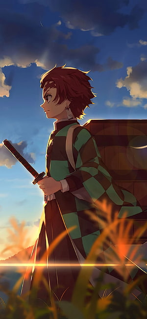 Tanjiro Kamado from Demon Slayer Standing in Golden Grass at Sunset HD phone wallpaper