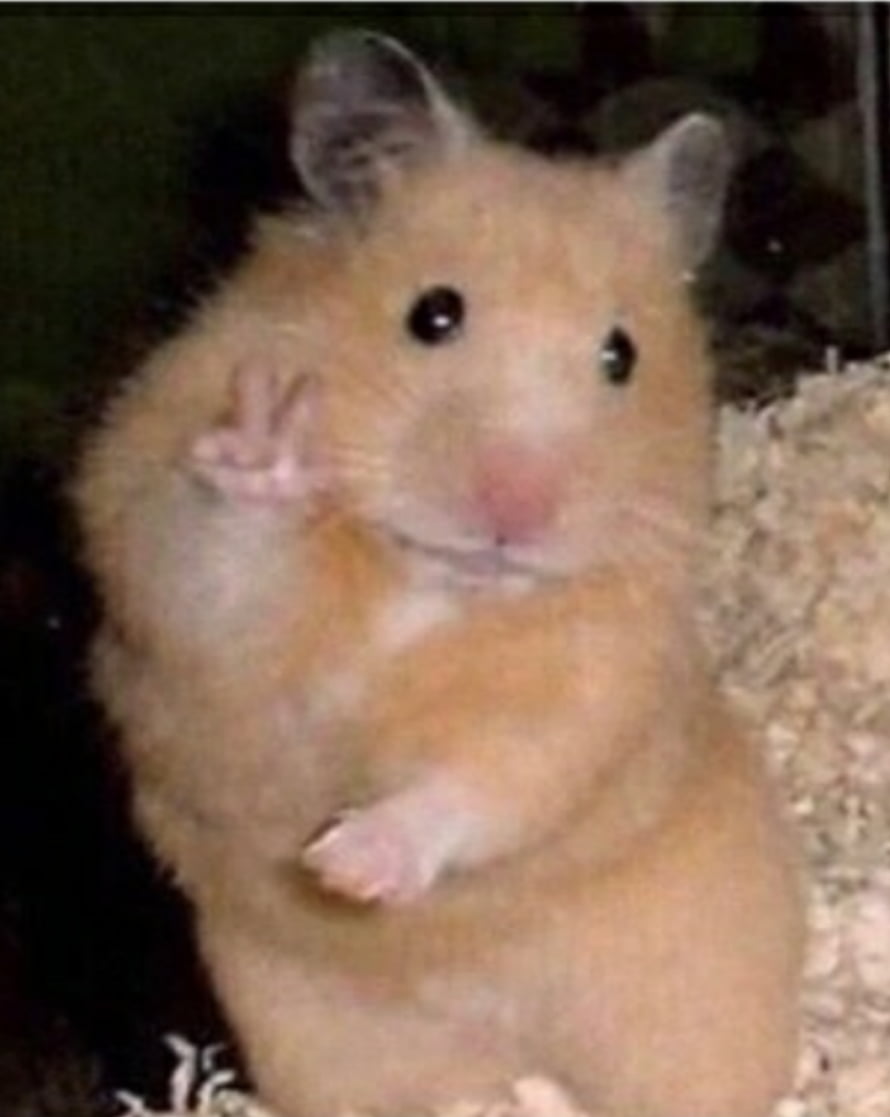 Cute Golden Hamster Making a Peace Sign in a Bed of Wood Shavings HD phone wallpaper