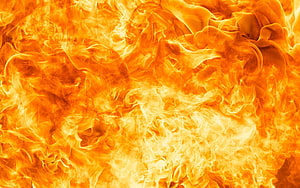 Vibrant Orange Fire Flames Close-Up Texture with Intense Heat and Dynamic Motion HD wallpaper