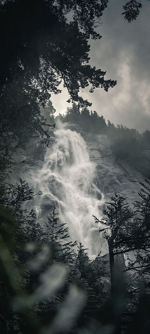 Misty Forest Waterfall Cascading Through Dark Evergreen Trees HD phone wallpaper