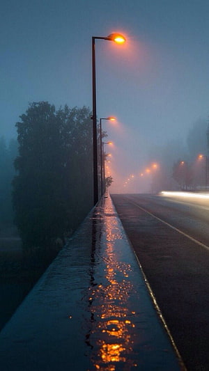 Moody Foggy Roadway at Dusk with Glowing Streetlights and Wet Reflections HD phone wallpaper