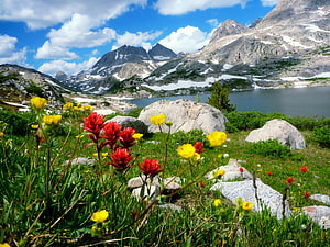 Alpine meadow with red and yellow wildflowers in front of a mountain lake and rocky peaks HD wallpaper