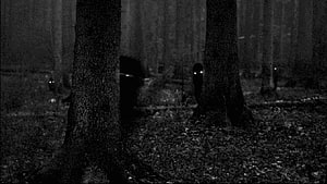 Eerie Black and White Forest Scene with Glowing Eyes in the Dark HD wallpaper