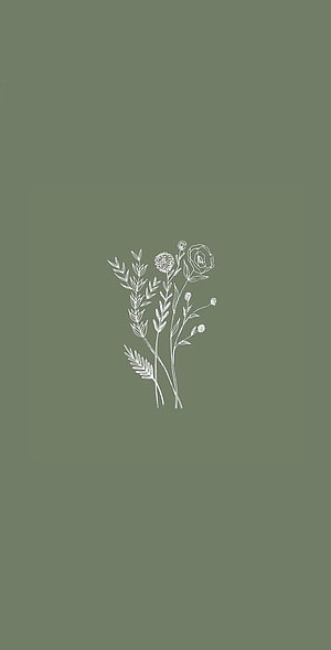Minimalist White Botanical Line Art on Sage Green Background HD phone wallpaper