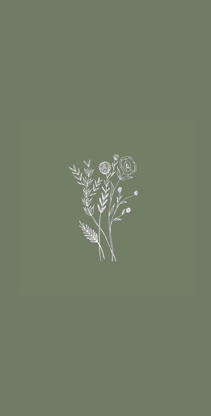 Minimalist White Botanical Line Art on Sage Green Background HD phone wallpaper