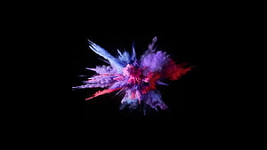 Vibrant Colorful Powder Explosion on Black Background Abstract Art HD wallpaper