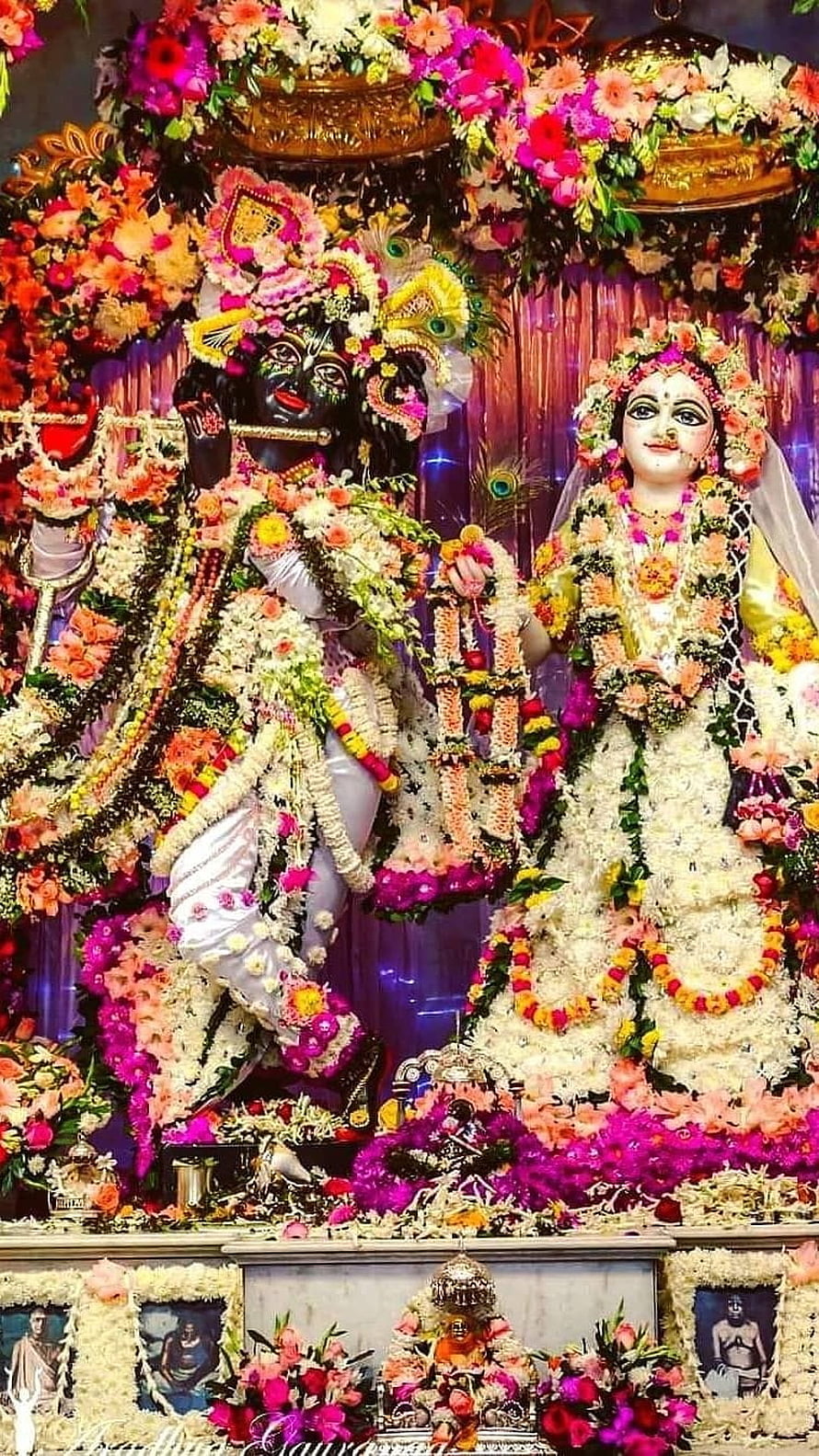 Radha Krishna Temple Deities Adorned in Vibrant Floral Garlands and Jewels HD phone wallpaper