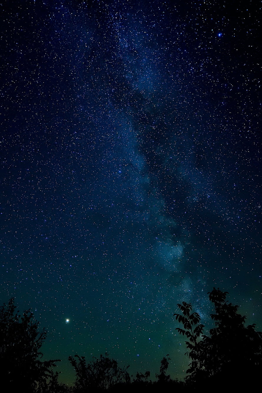 Milky Way Galaxy Arching Over Dark Tree Silhouettes in a Deep Blue Night Sky HD phone wallpaper