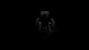 Black Panther Face Emerging From Darkness With Glowing Green Eyes HD wallpaper