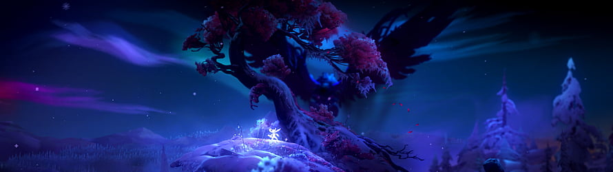 Ori and the Will of the Wisps Nightwood Scene with Glowing Character and Ancient Tree HD wallpaper