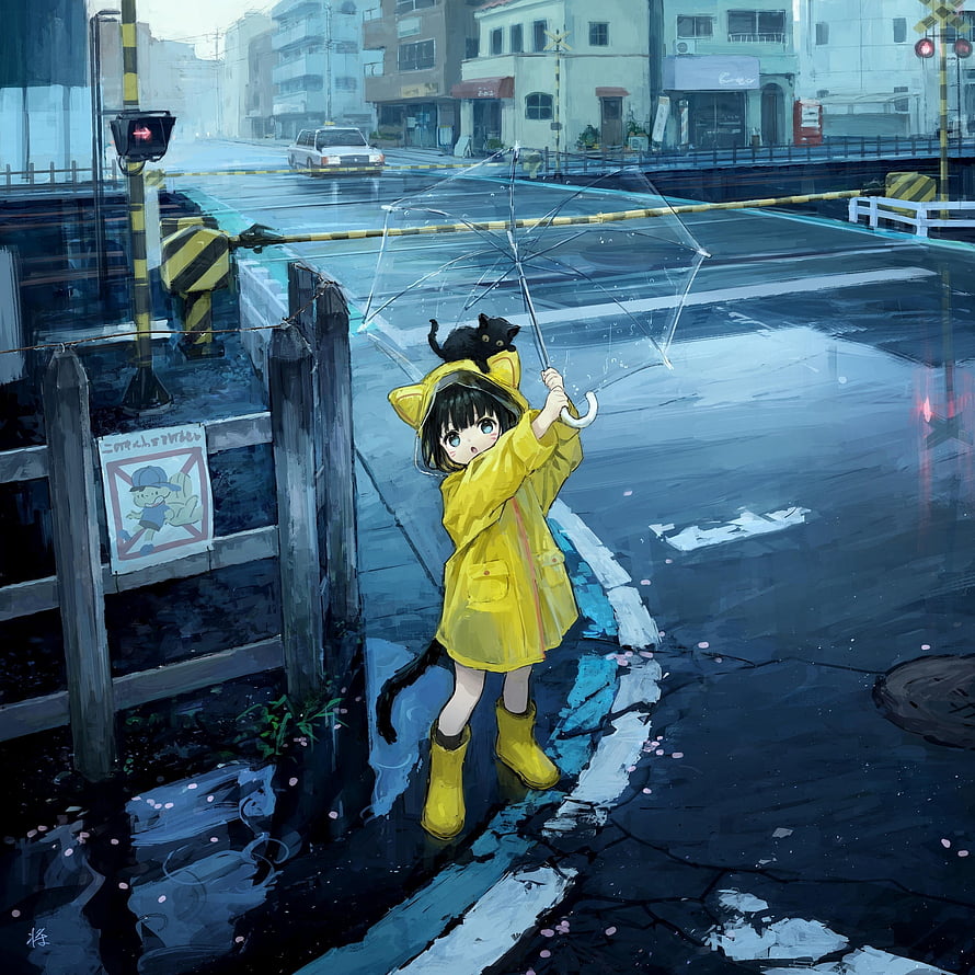 Anime girl in yellow raincoat holding transparent umbrella with black cat on rainy street HD phone wallpaper