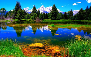 Serene Alpine Lake with Snow-Capped Mountain Reflections and Lush Evergreen Forest HD wallpaper