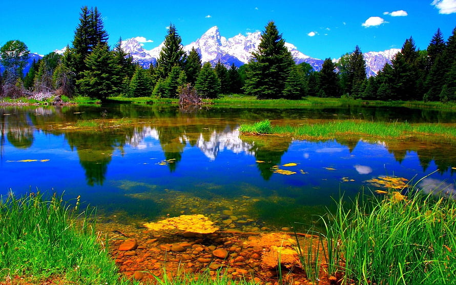 Serene Alpine Lake with Snow-Capped Mountain Reflections and Lush Evergreen Forest HD wallpaper