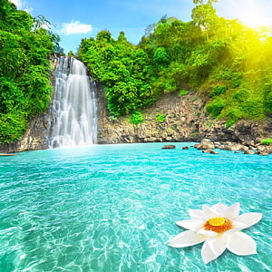Tropical Waterfall Pool With Turquoise Water And White Lotus Flower HD phone wallpaper